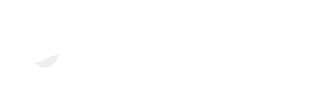 Logo Skyvas